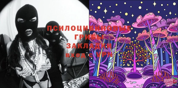 крисы Баксан