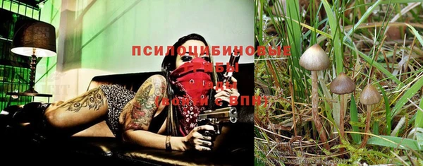 mix Балабаново