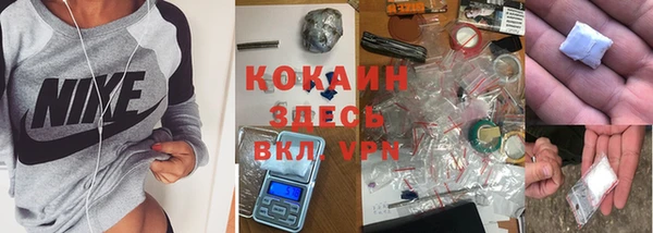 крисы Баксан